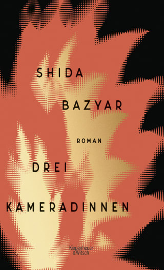 Drei Kameradinnen [Sisters in Arms]